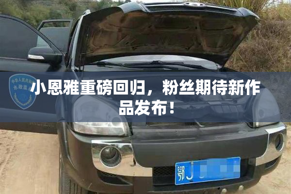 小恩雅重磅回归，粉丝期待新作品发布！