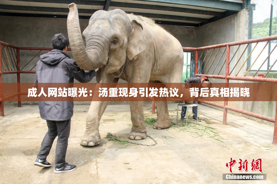 成人网站曝光：汤重现身引发热议，背后真相揭晓