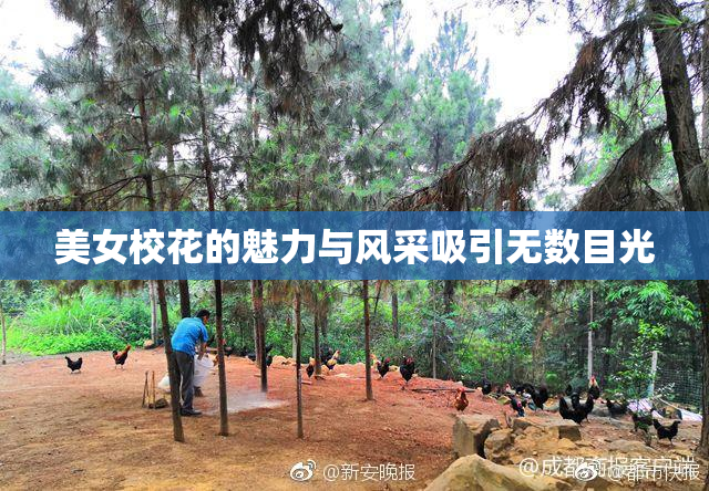 美女校花的魅力与风采吸引无数目光