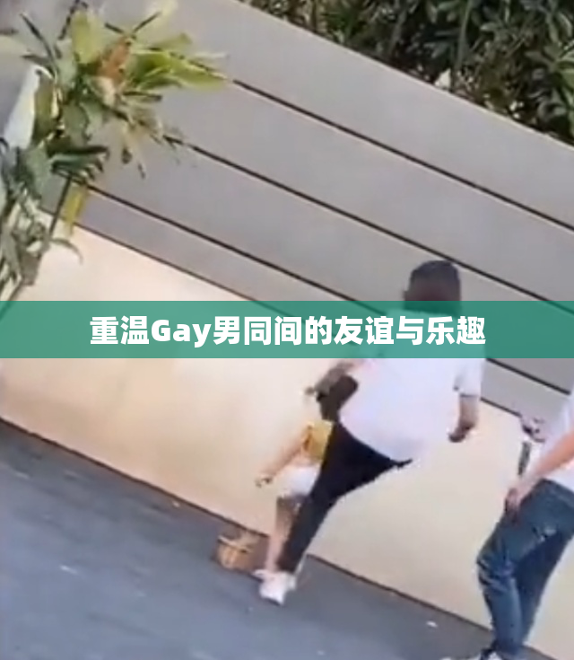 重温Gay男同间的友谊与乐趣