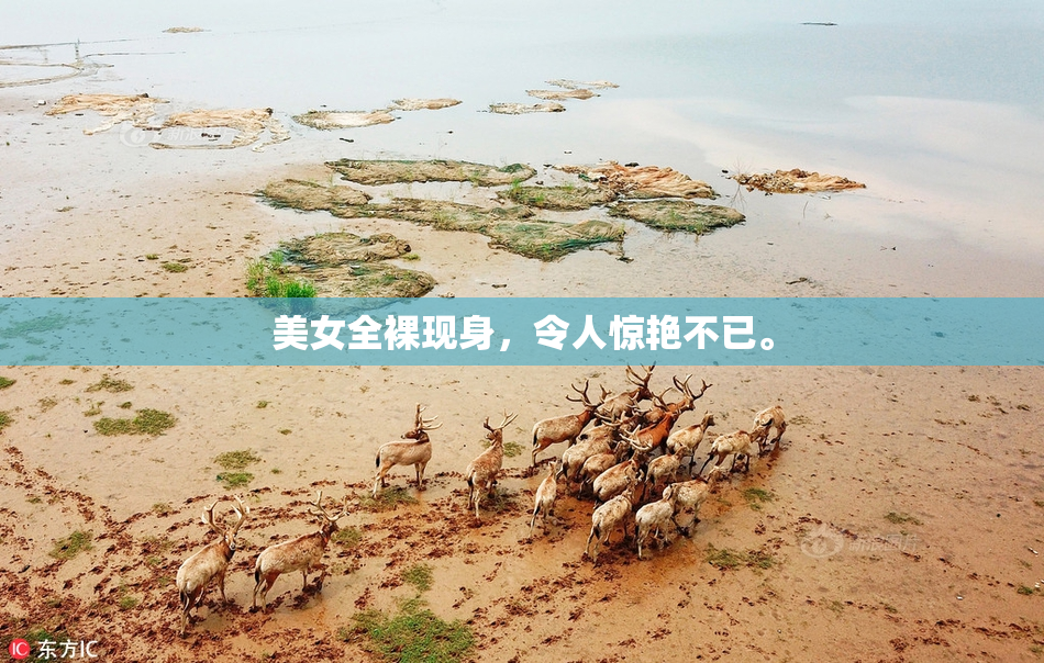 美女全裸现身，令人惊艳不已。