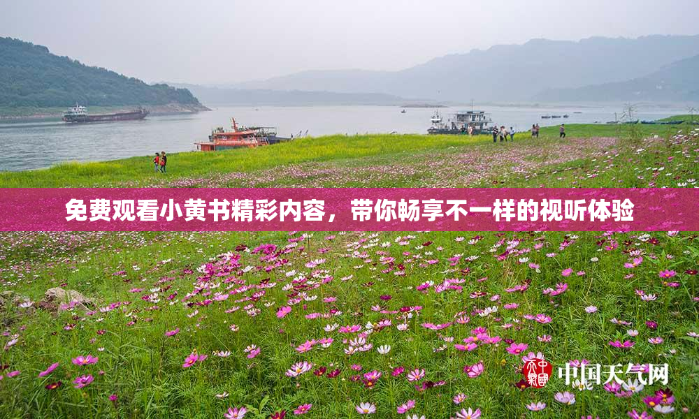 免费观看小黄书精彩内容，带你畅享不一样的视听体验