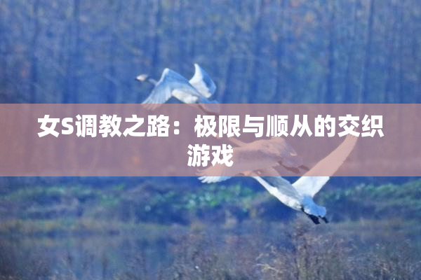 女S调教之路：极限与顺从的交织游戏