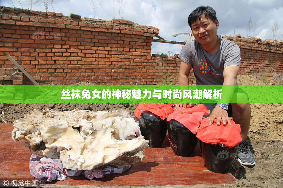 丝袜兔女的神秘魅力与时尚风潮解析
