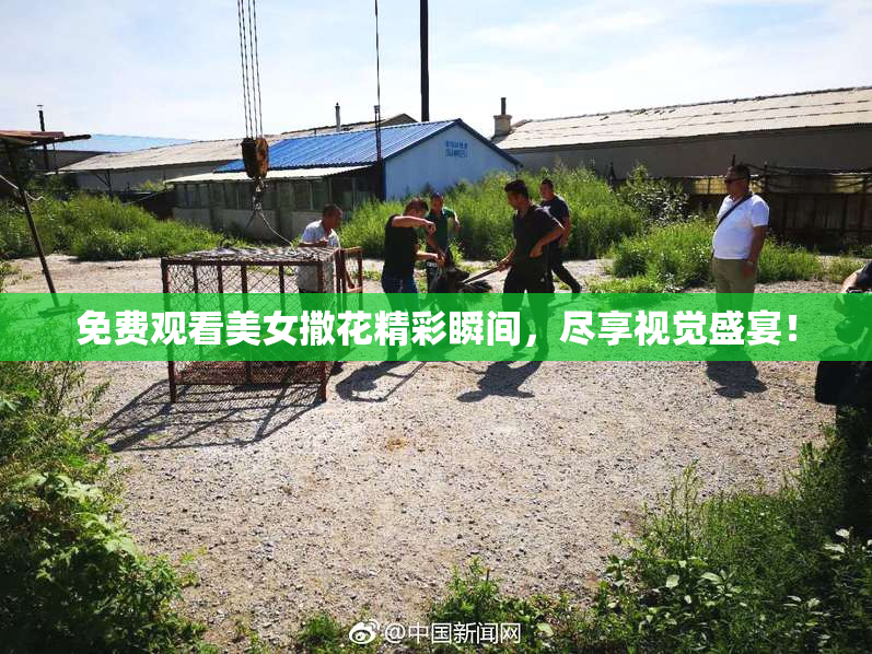 免费观看美女撒花精彩瞬间，尽享视觉盛宴！