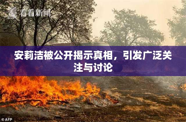 安莉洁被公开揭示真相，引发广泛关注与讨论
