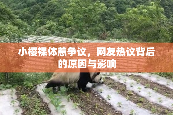 小樱裸体惹争议，网友热议背后的原因与影响