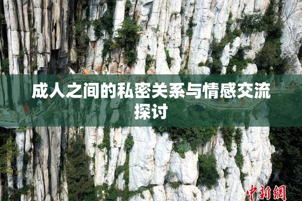 成人之间的私密关系与情感交流探讨