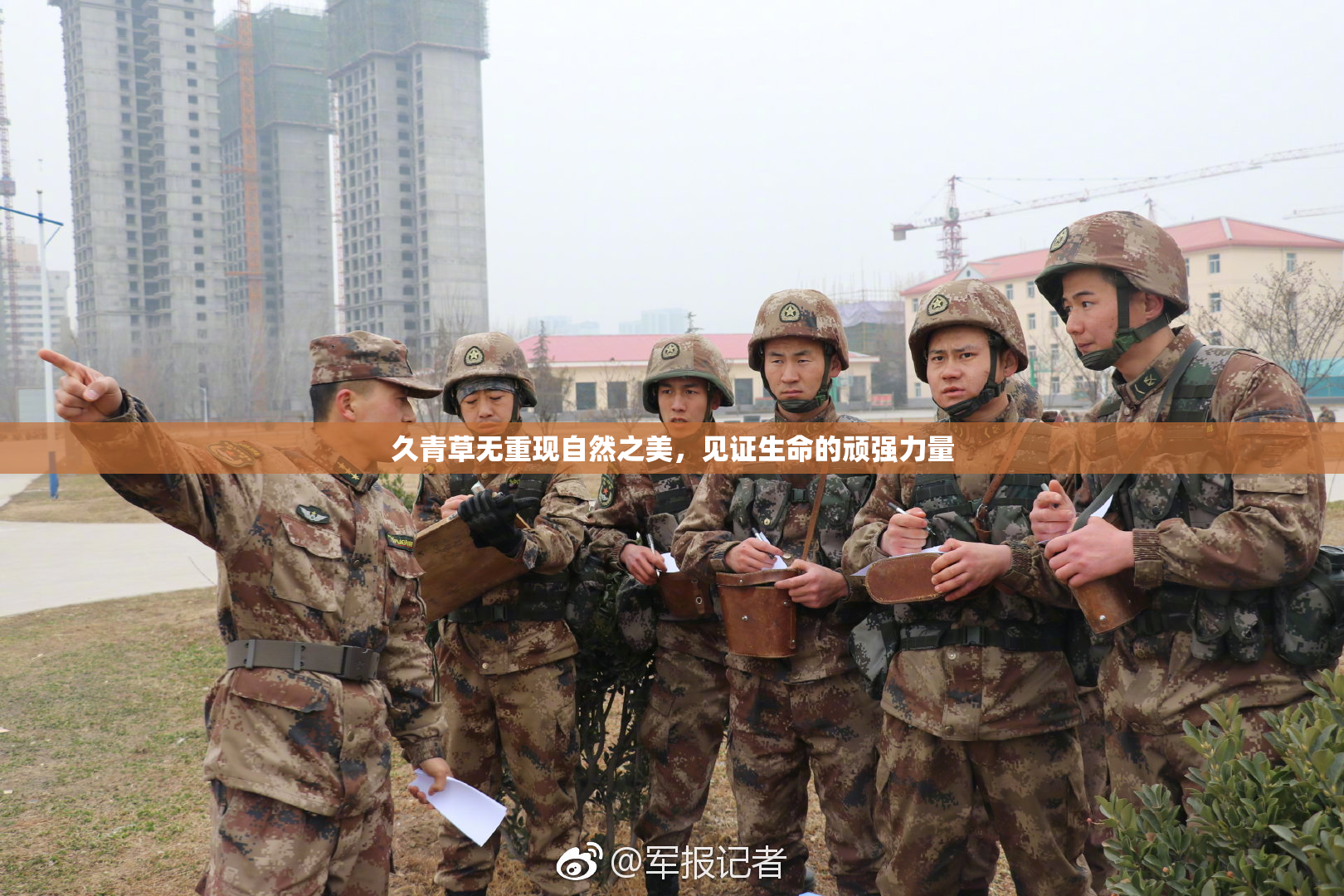 久青草无重现自然之美，见证生命的顽强力量