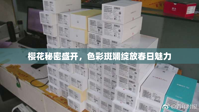 樱花秘密盛开，色彩斑斓绽放春日魅力