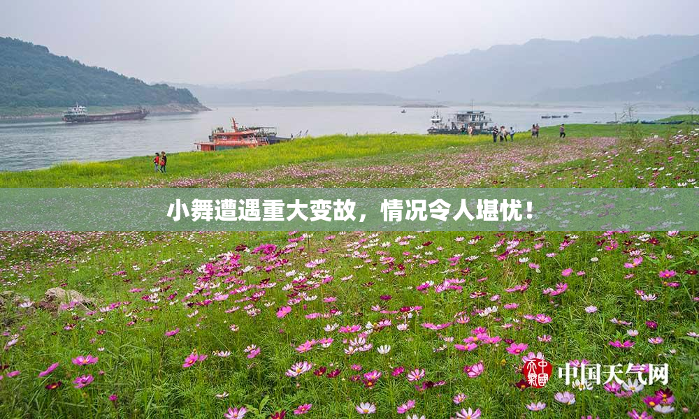 小舞遭遇重大变故，情况令人堪忧！
