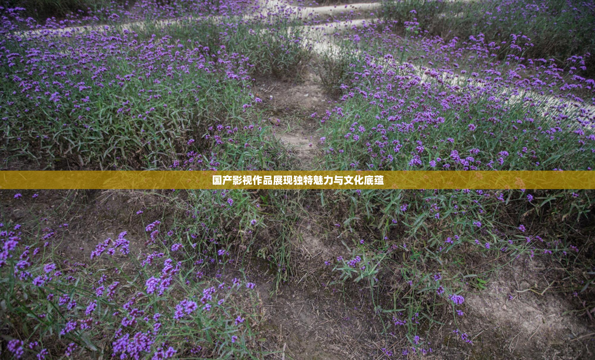 国产影视作品展现独特魅力与文化底蕴