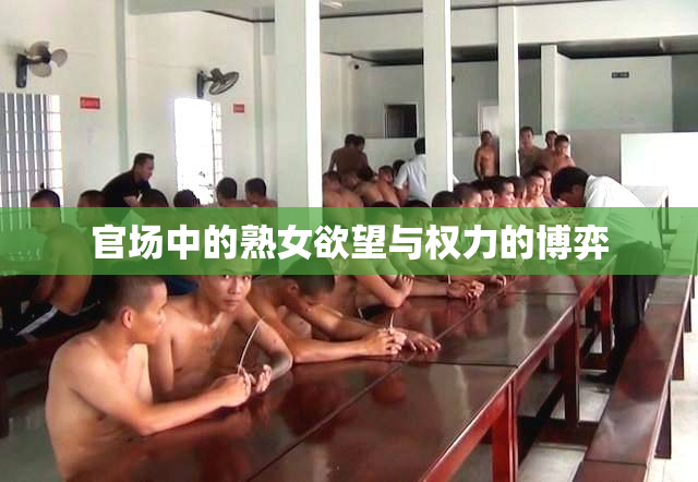 官场中的熟女欲望与权力的博弈