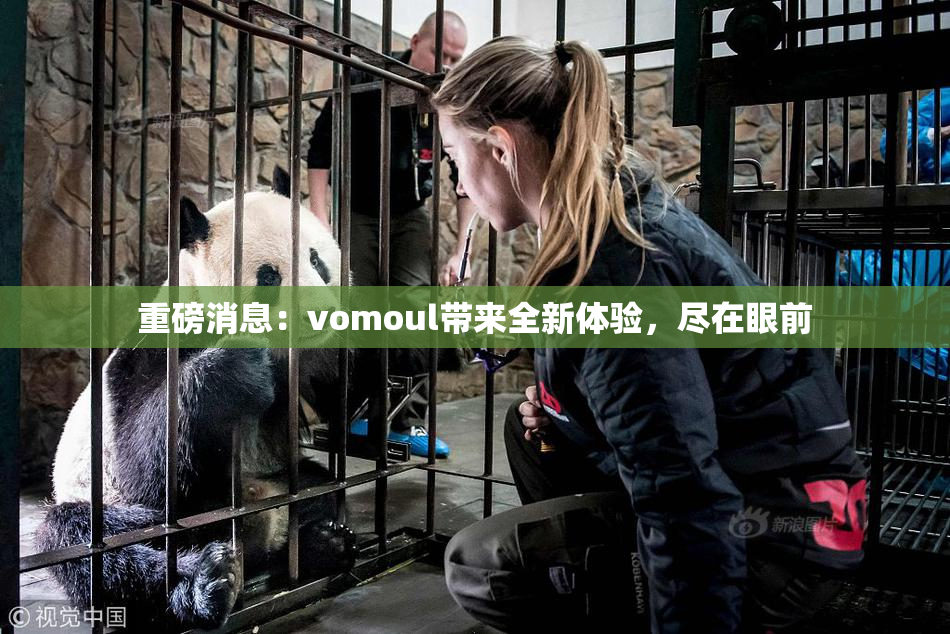 重磅消息：vomoul带来全新体验，尽在眼前