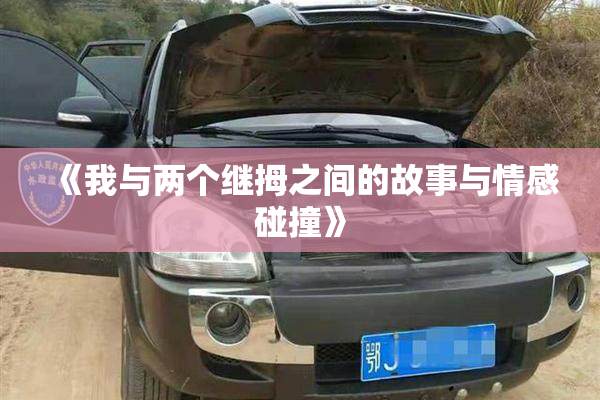 《我与两个继拇之间的故事与情感碰撞》