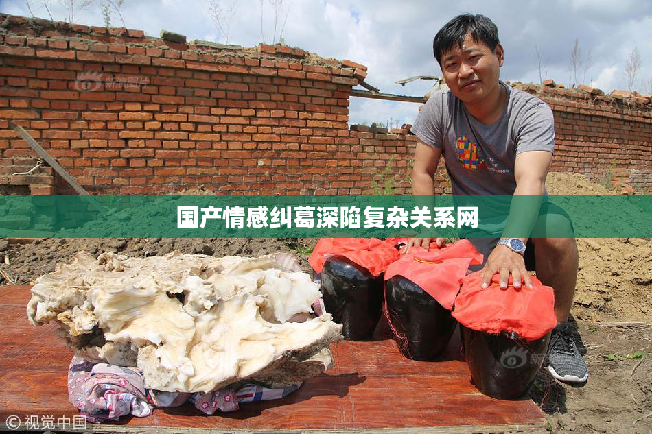 国产情感纠葛深陷复杂关系网