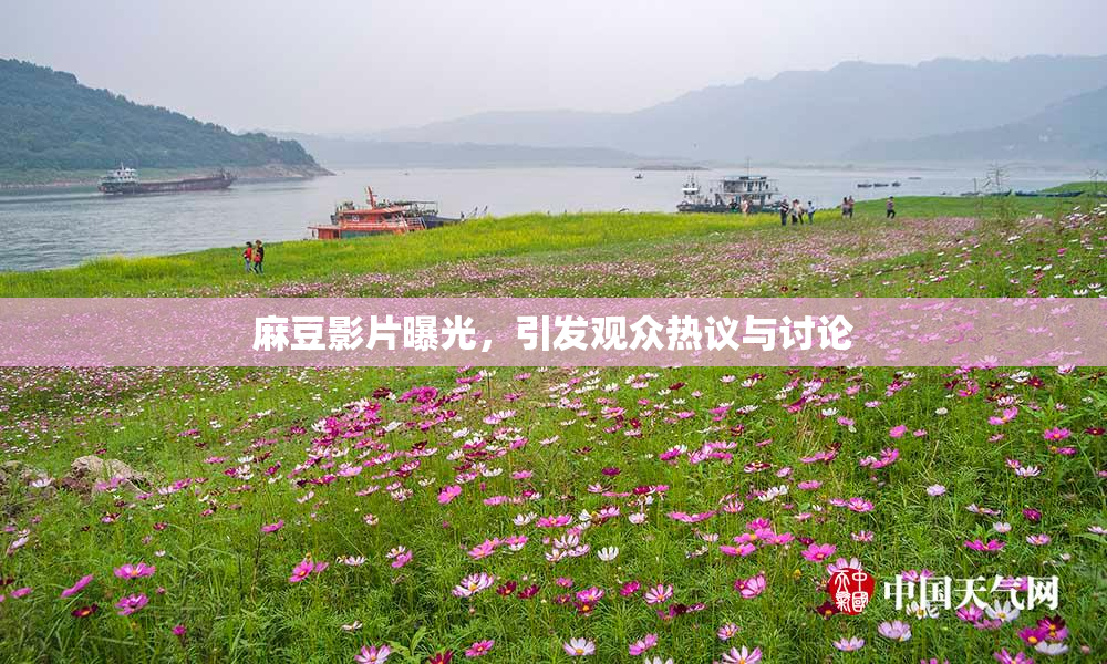 麻豆影片曝光，引发观众热议与讨论
