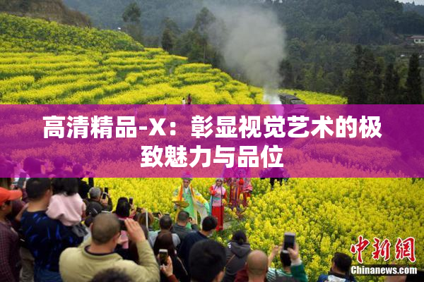 高清精品-X：彰显视觉艺术的极致魅力与品位