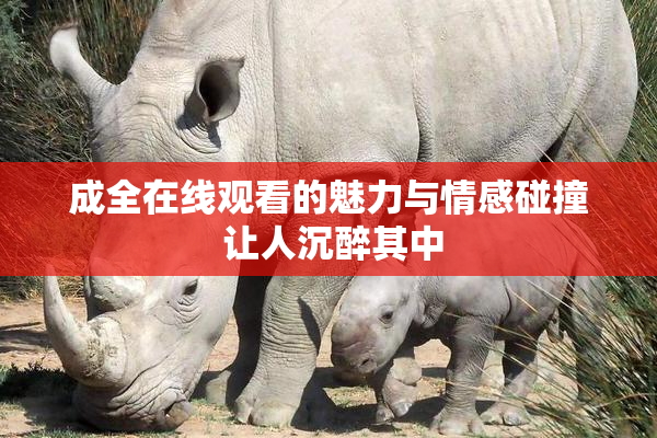 成全在线观看的魅力与情感碰撞 让人沉醉其中