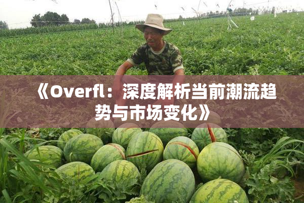 《Overfl：深度解析当前潮流趋势与市场变化》