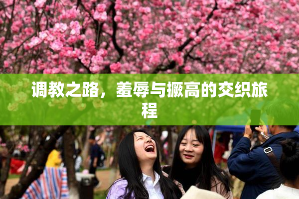 调教之路，羞辱与撅高的交织旅程