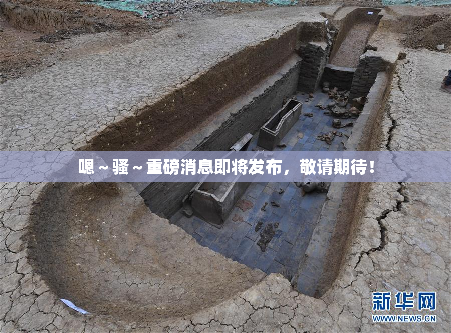 嗯～骚～重磅消息即将发布，敬请期待！