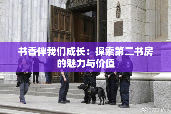 书香伴我们成长：探索第二书房的魅力与价值