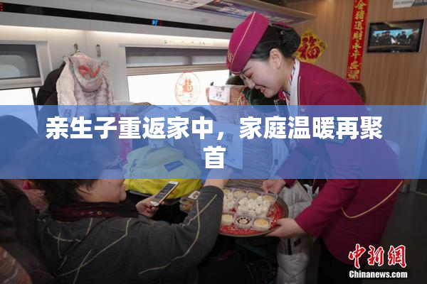 亲生子重返家中，家庭温暖再聚首