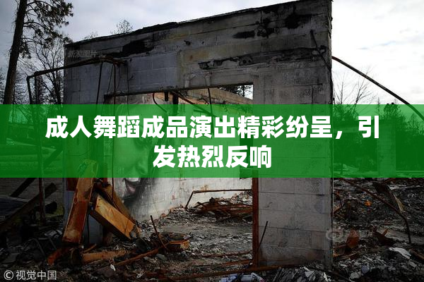 成人舞蹈成品演出精彩纷呈，引发热烈反响
