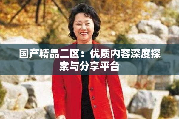 国产精品二区：优质内容深度探索与分享平台