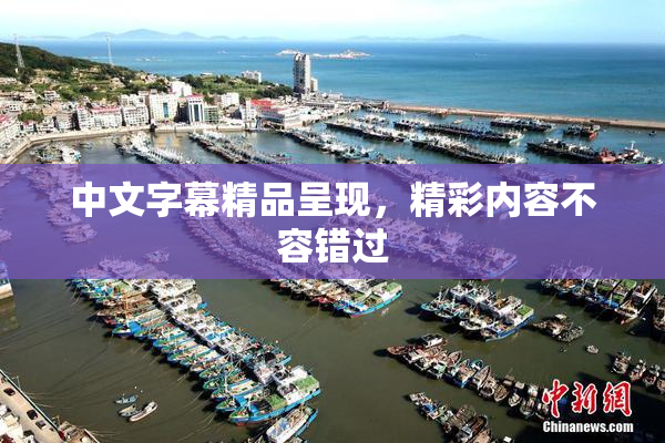 中文字幕精品呈现，精彩内容不容错过