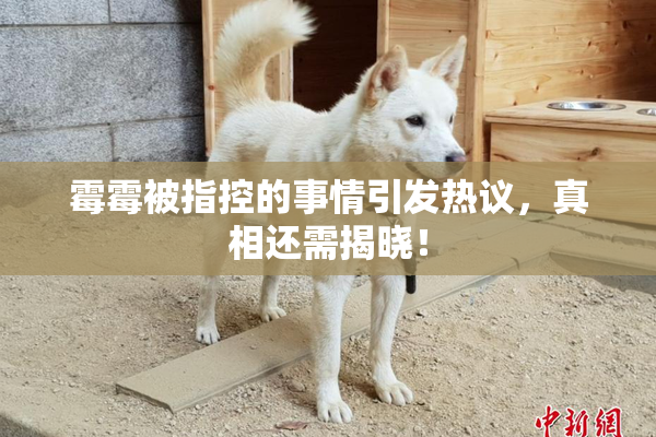霉霉被指控的事情引发热议，真相还需揭晓！