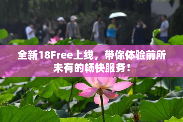 全新18Free上线，带你体验前所未有的畅快服务！