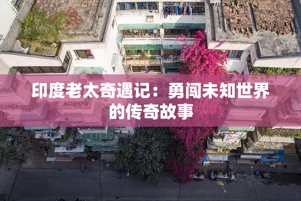 印度老太奇遇记：勇闯未知世界的传奇故事