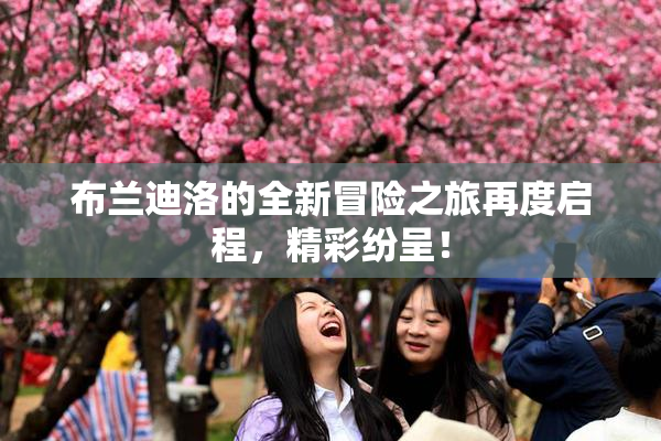 布兰迪洛的全新冒险之旅再度启程，精彩纷呈！
