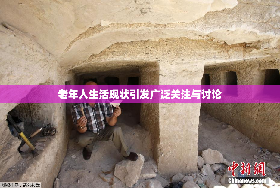 老年人生活现状引发广泛关注与讨论