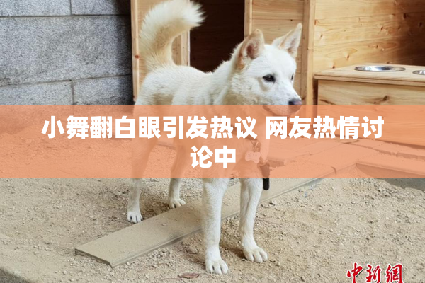 小舞翻白眼引发热议 网友热情讨论中