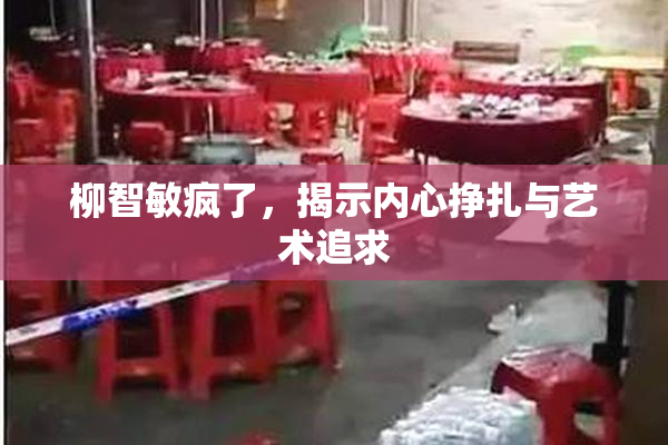 柳智敏疯了，揭示内心挣扎与艺术追求