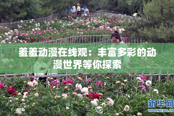 羞羞动漫在线观：丰富多彩的动漫世界等你探索
