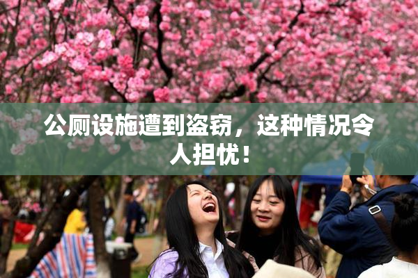 公厕设施遭到盗窃，这种情况令人担忧！