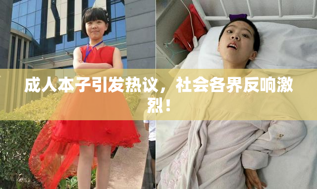 成人本子引发热议，社会各界反响激烈！