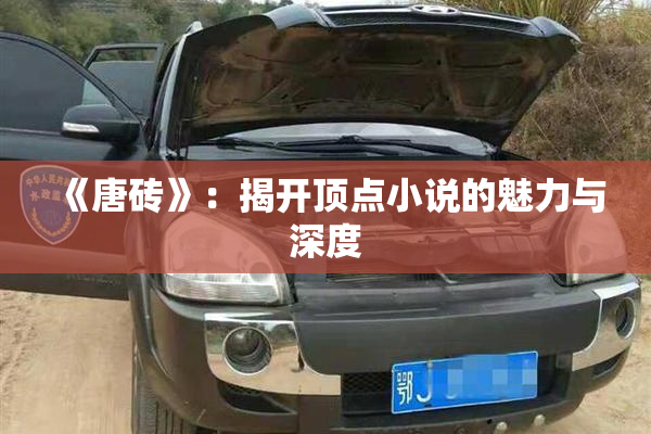 《唐砖》：揭开顶点小说的魅力与深度