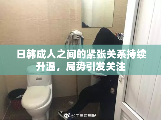 日韩成人之间的紧张关系持续升温，局势引发关注