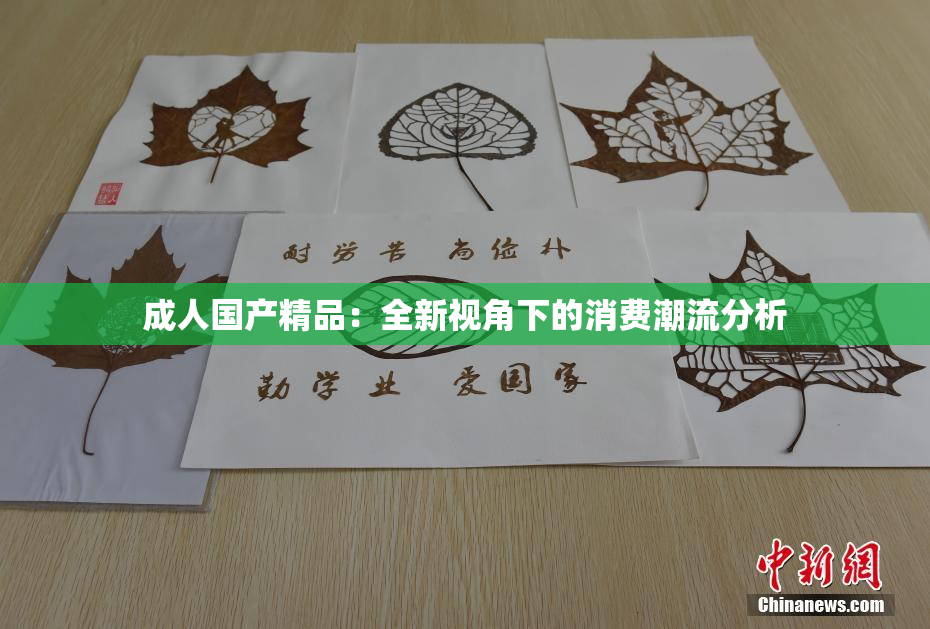 成人国产精品：全新视角下的消费潮流分析