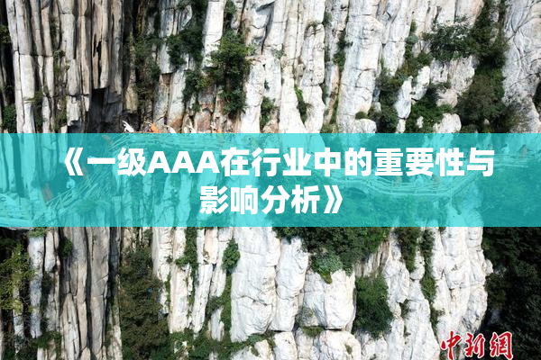 《一级AAA在行业中的重要性与影响分析》