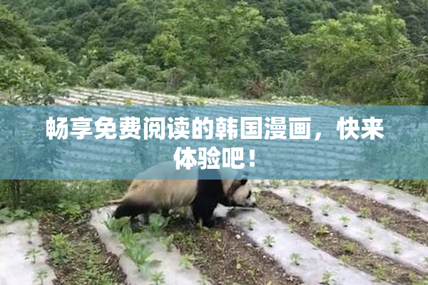 畅享免费阅读的韩国漫画，快来体验吧！
