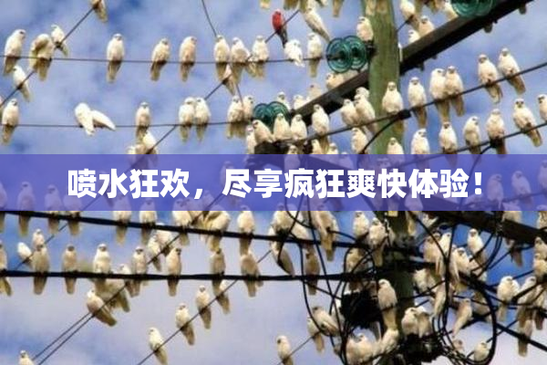 喷水狂欢，尽享疯狂爽快体验！