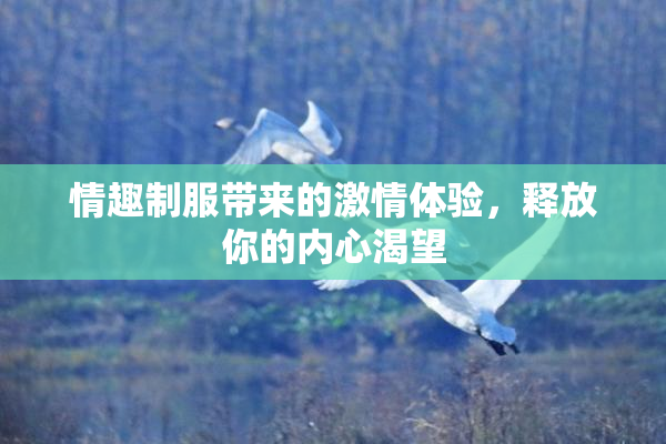 情趣制服带来的激情体验，释放你的内心渴望