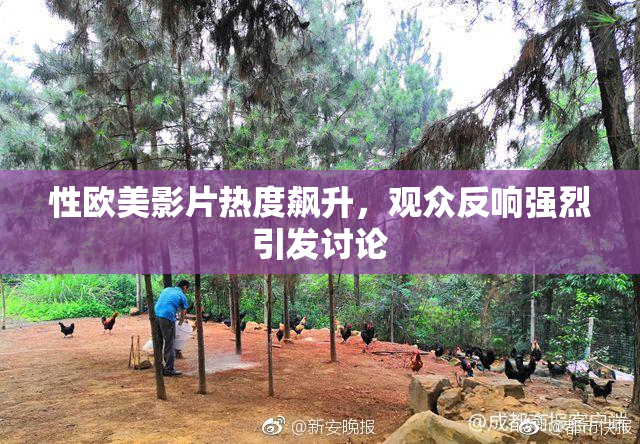 性欧美影片热度飙升，观众反响强烈引发讨论
