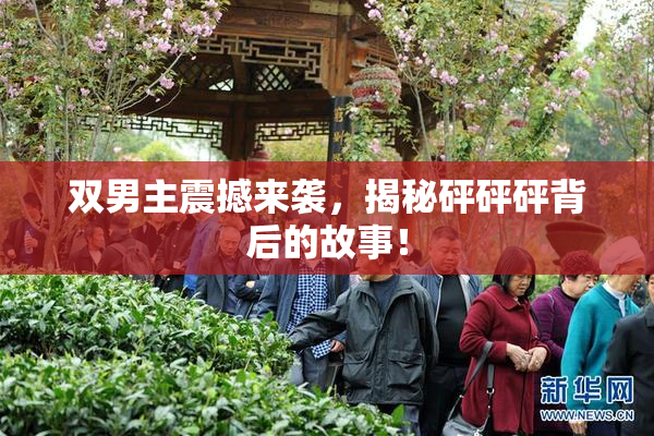 双男主震撼来袭，揭秘砰砰砰背后的故事！